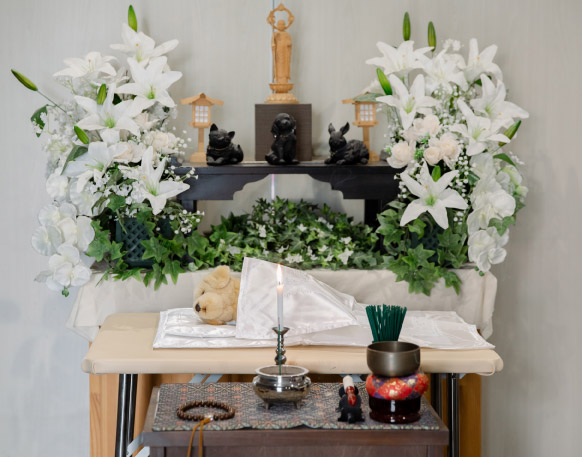 シンプルプラン