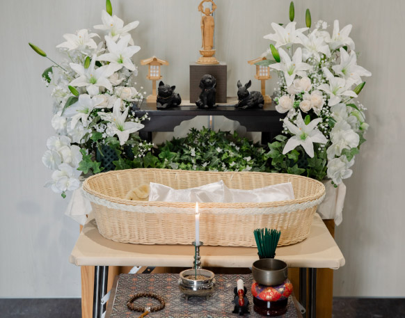 プレミアムプラン